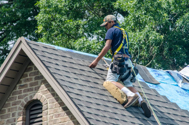 Best Roof Replacement Cost  in Webster, FL